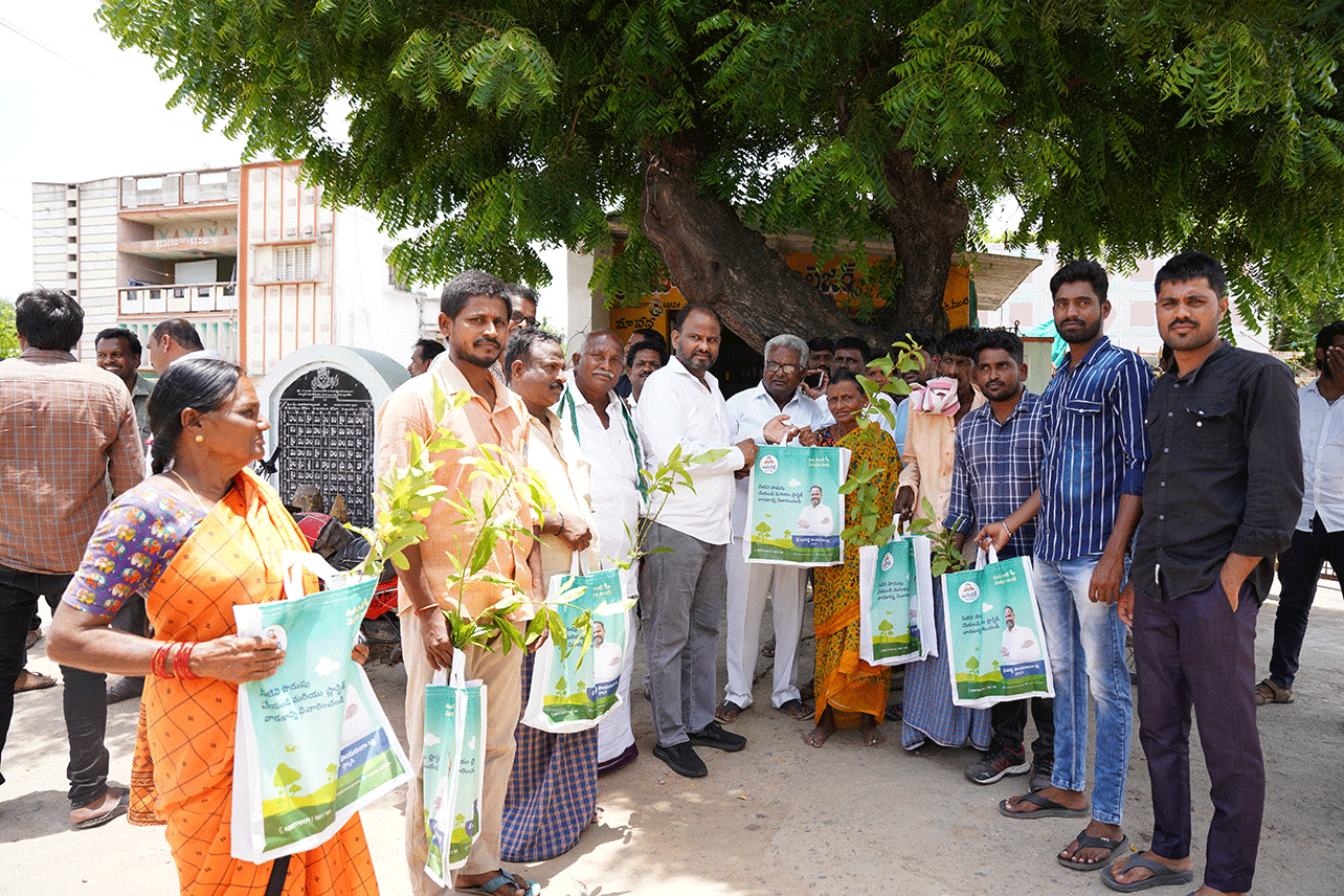 Jute bags & mango saplings